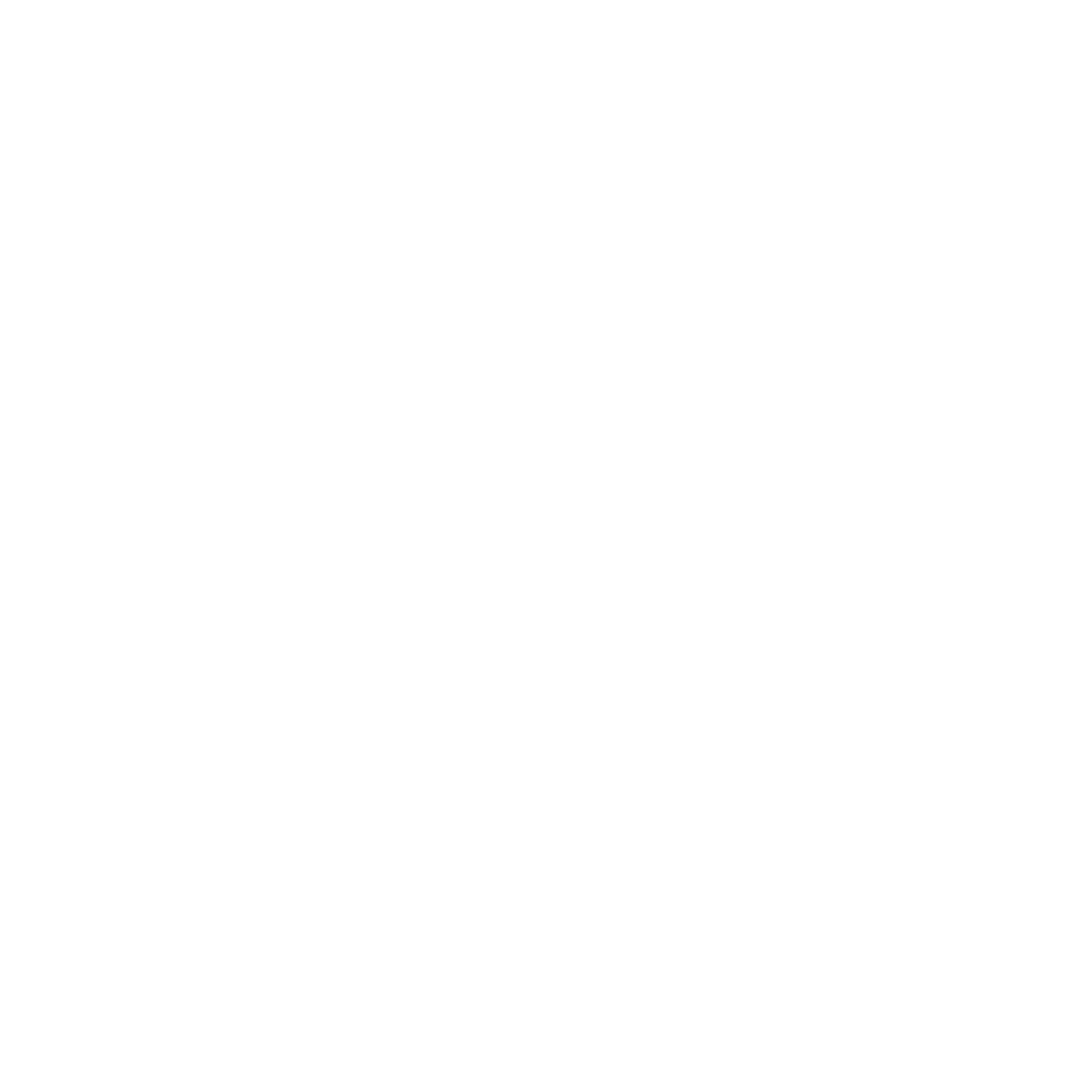 Radio Viva FM